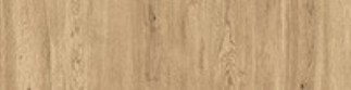 HONEY WOOD NAT 12MM 320X160